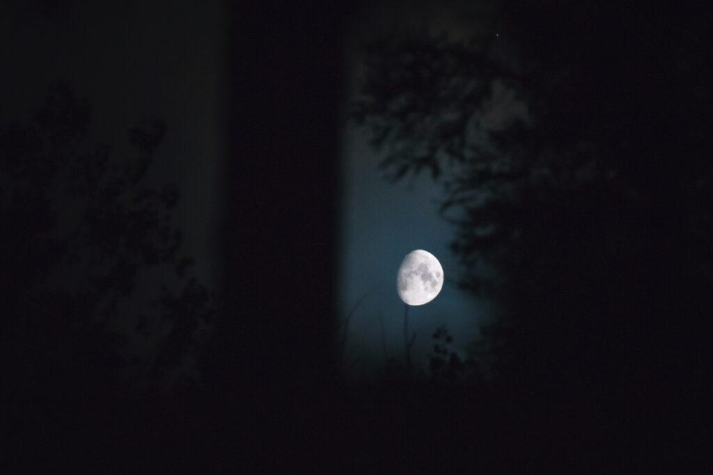 Moon with trees in the foreground